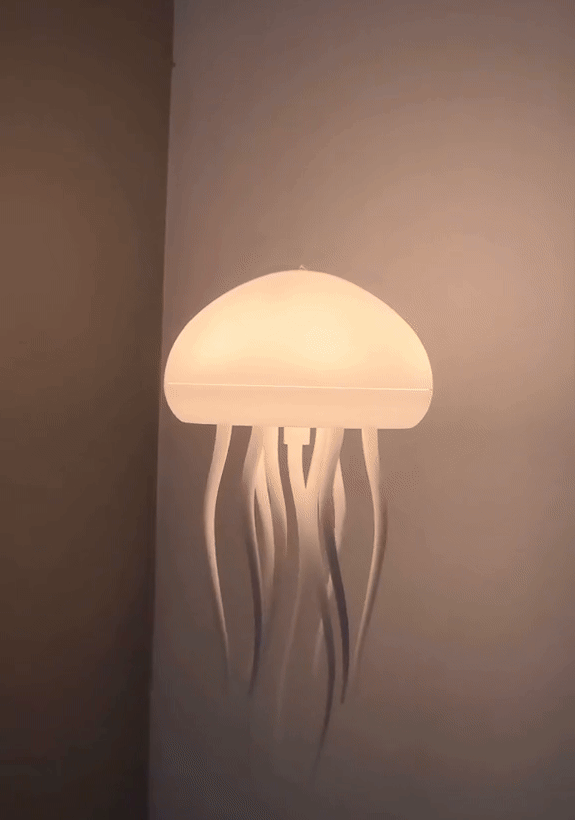 Jellyfish lamp